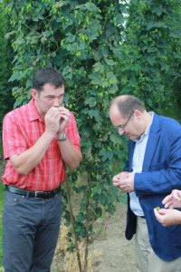 Herr Metzger und BLWM Schmidt bei Test des Mandarina Bavaria Hopfens